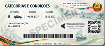 Licence back — fictional specimen